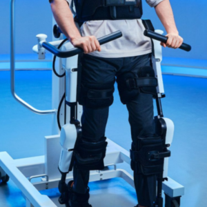Lower Limb